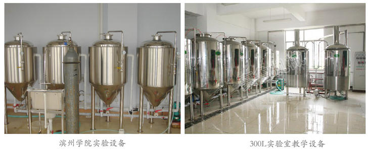 教学实验啤酒设备